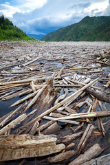 Driftwood in a river near a dam of a hydro power plant