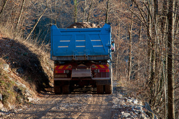 camion 1