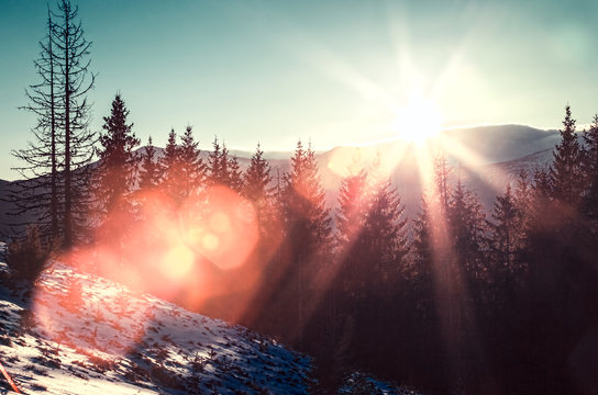 Sun And Glare In Winter Mountains