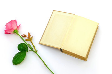 pink rose next to an open old book