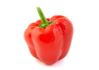 Close up of red pepper on white background.