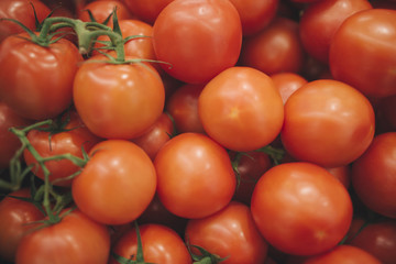 tomatos