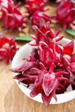 fresh roselle flower