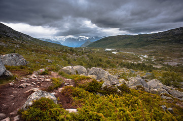 The summer view of Trolltunga in Odda, Norway