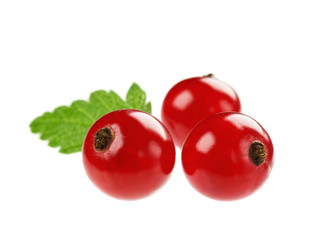 red currant isolated on white background