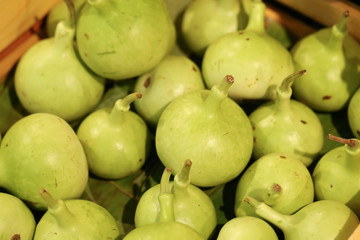 squash, green squash or gourd in basket on selling market