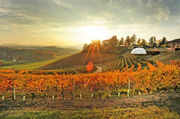 Cantina - Ceretto