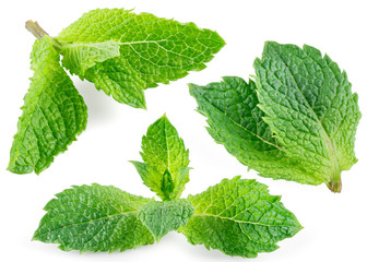 Fresh mint isolated on white. Collection