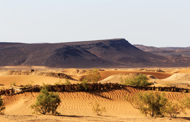 Wüstenlandschaft in Afrika