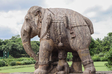 Fototapeta na wymiar Stone Elephant in Konark