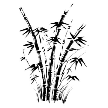 Bamboo branches isolated on the white background. Vector
