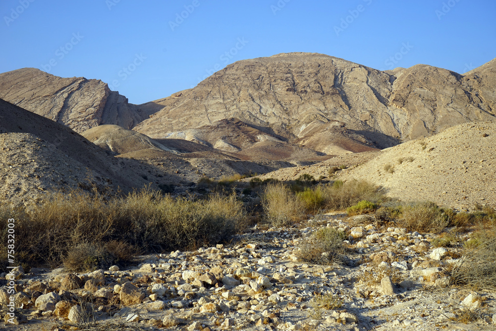 Poster Wadi in desert