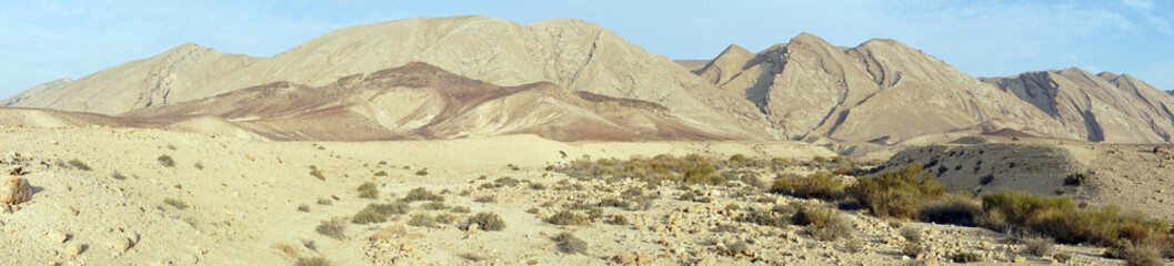 Negev desert