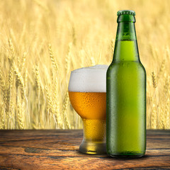 Bottle and Glass of Cold Beer