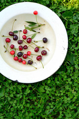 Yellow bowl with sweet cherries on a grass