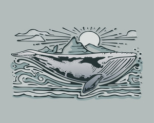Fototapeta premium Gray whale