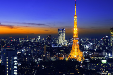 Obraz premium Tokyo Tower