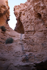 Ladder
