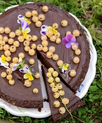 Delicious chocolate tart with berries on the white plate