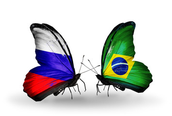 Two butterflies with flags Russia and Brazil