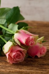 Three beautiful pink roses on wooden board