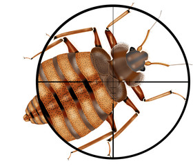 kill insects, machine gun, sight, target,