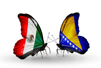 Two butterflies with flags Mexico and Bosnia and Herzegovina