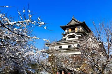 Obraz premium Inuyama Castle