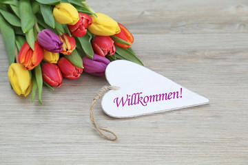 Willkommen!