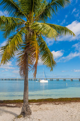 Fototapeta na wymiar The yacht in the bay of Bahia Honda Key, Florida, US