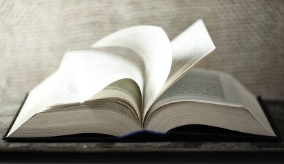Buch durchblättern