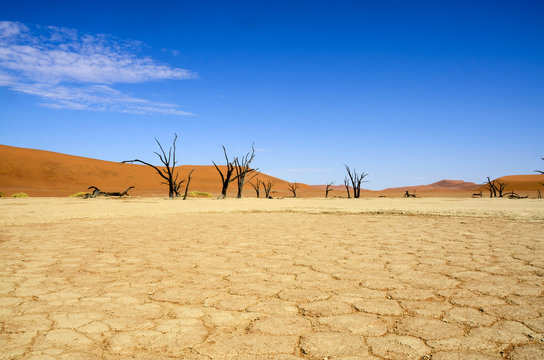 Deadvlei