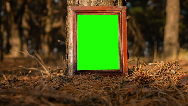 Green screen frame