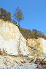 chalk rocks of Rugen island (Germany, Mecklenburg-Vorpommern)