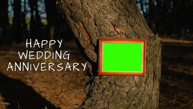 Green screen frame  on the tree trunk wedding anniversary