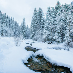 Fototapeta na wymiar Mountain stream in winter