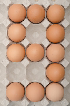 egg in tray