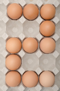 egg in tray