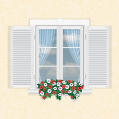 white window with shutters and flowers
