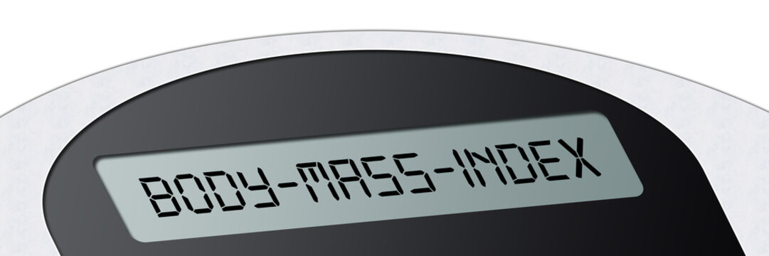 wsb7 WeighingScaleBanner - Waage - Body-Mass-Index - 3zu1 g2963