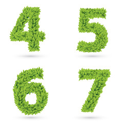 Numbers of green leaves collection.