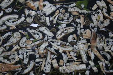 &Uuml;berf&uuml;tterung