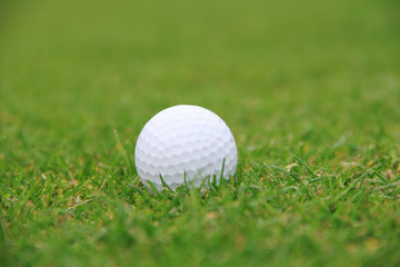 Golf ball on course