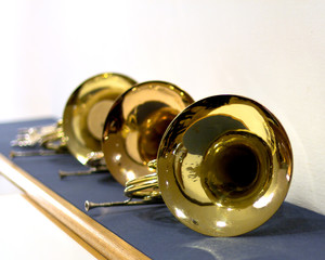 French horn in the concert hall. Wind instrument. French horn.