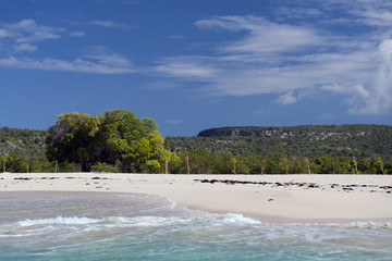 Schildkröteninsel Tortuga (Île de la Tortue), Haiti
