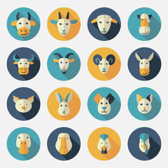 Obraz premium Farm animals flat icons with long shadow