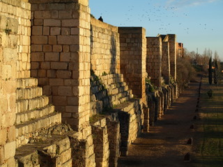 Alcazaba Romana de Mérida 6