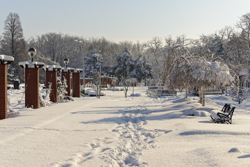 Snowy path in Herastrau Park Bucharest