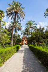 Fototapeta na wymiar Seville Alcazar Garden
