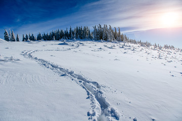 Fototapeta na wymiar deep footprints in the snow